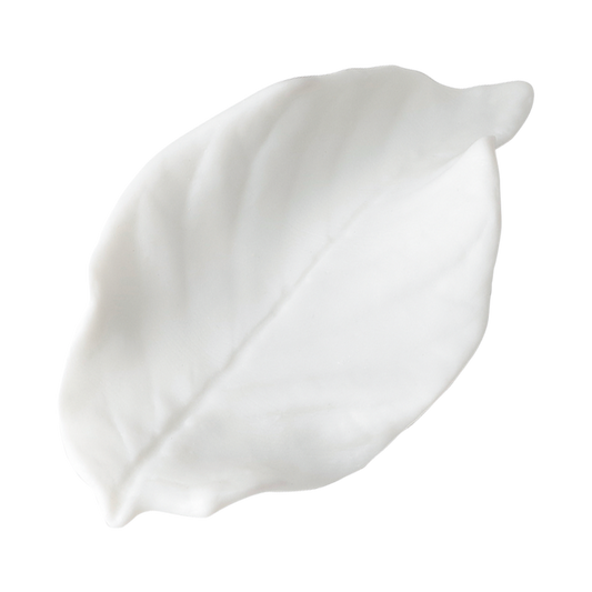 葉枝おき サクラ ホワイト