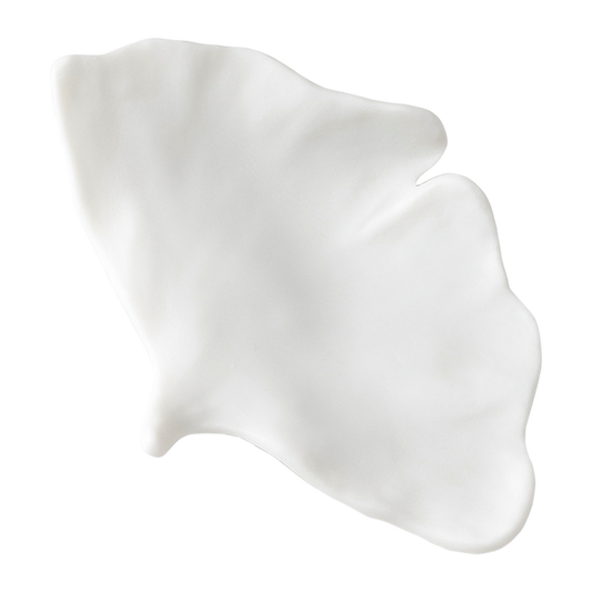 葉枝おき イチョウ ホワイト