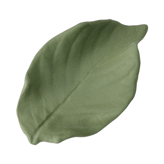 葉枝おき サクラ グリーン