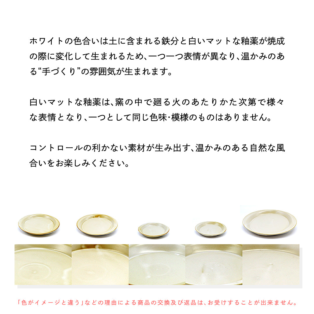 デュエット  プレート (LL) ホワイト